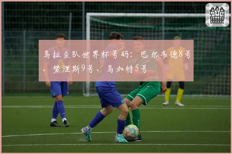 乌拉圭队世界杯号码:巴尔韦德8号、努涅斯9号、乌加特5号