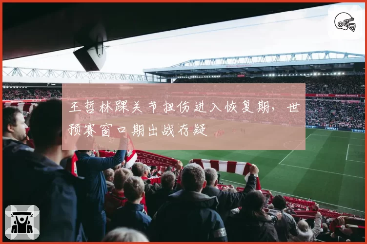 王哲林踝关节扭伤进入恢复期,世预赛窗口期出战存疑