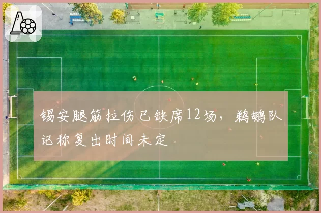 锡安腿筋拉伤已缺席12场，鹈鹕队记称复出时间未定