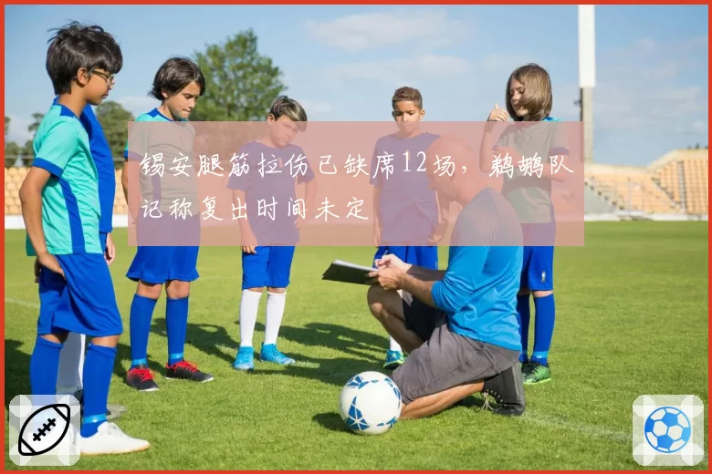 锡安腿筋拉伤已缺席12场，鹈鹕队记称复出时间未定