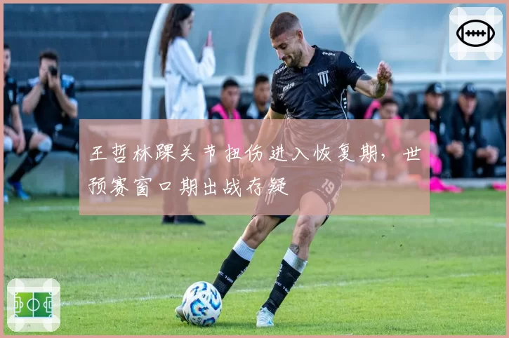 王哲林踝关节扭伤进入恢复期,世预赛窗口期出战存疑