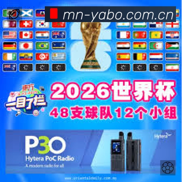 结构优化认证展示